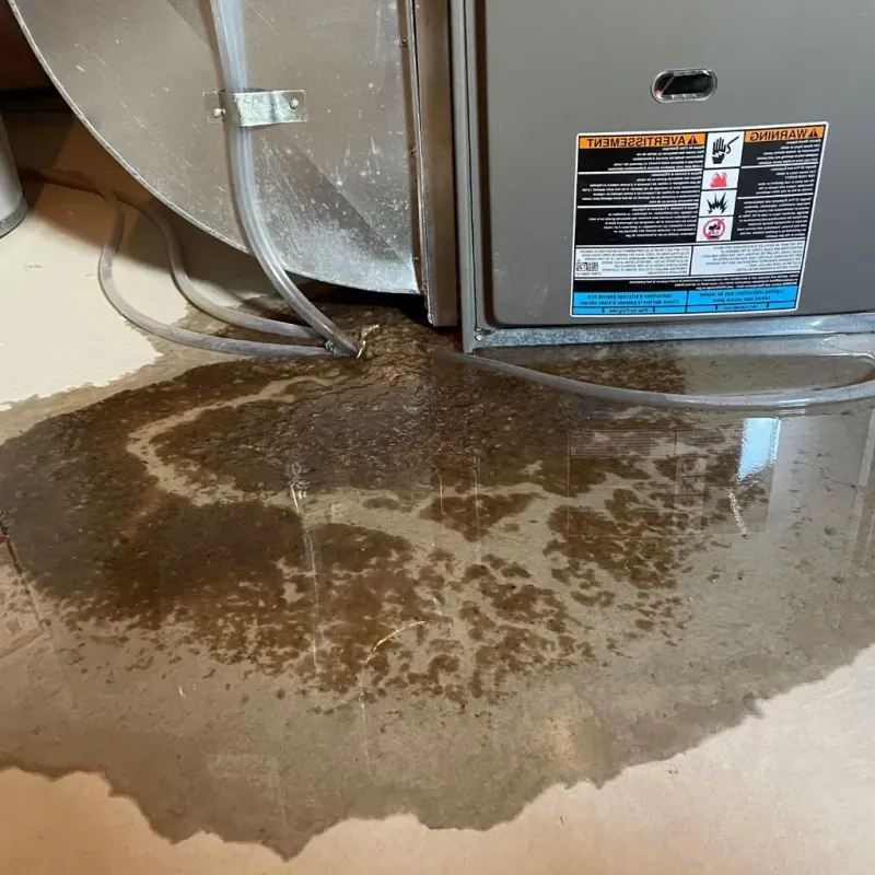 Pipe Burst and Leak Restoration in Stamford, CT