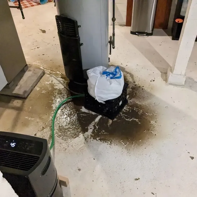 Sewage Backup Cleanup Service in Stamford, CT